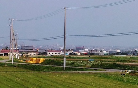 三原川6.jpg