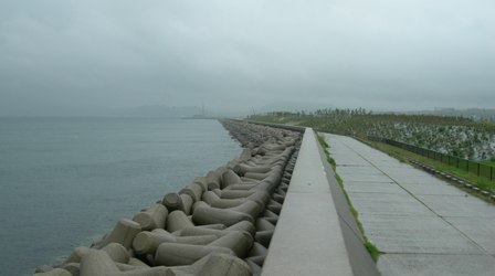 佐野新島06.JPG