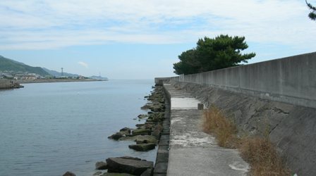 佐野新島06.JPG