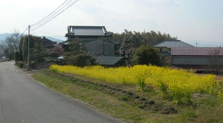 倭文地区3.JPG