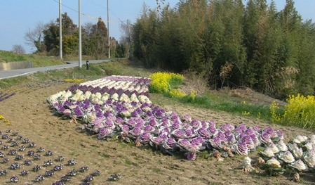 倭文地区5.JPG