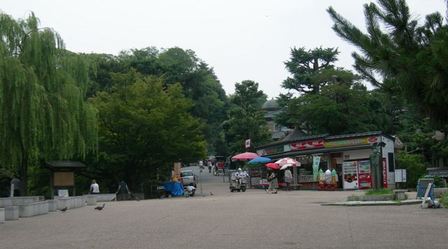 円山公園10.JPG