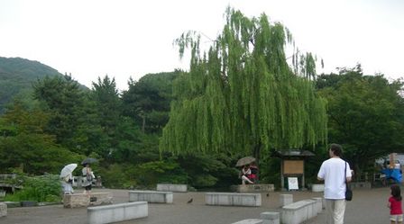円山公園12.JPG