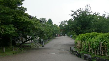 円山公園13.JPG