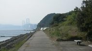 刈藻海岸12.JPG
