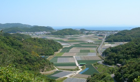 南淡海釣り公園04.JPG