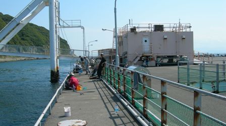 南淡海釣り公園13.JPG