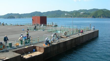 南淡海釣り公園24.JPG