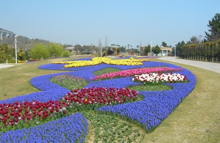 国営明石海峡公園06.JPG