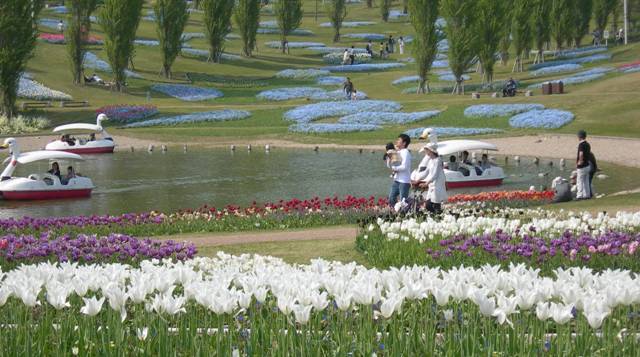 国営明石海峡公園1.JPG