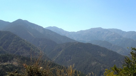 川井峠10.jpg
