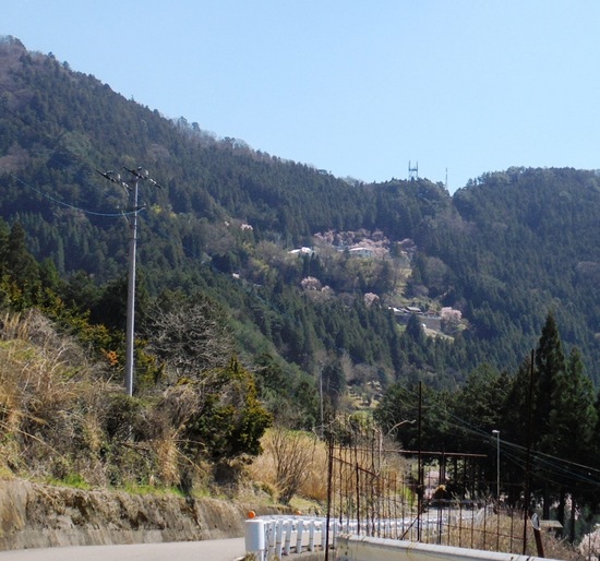 川井峠11.jpg