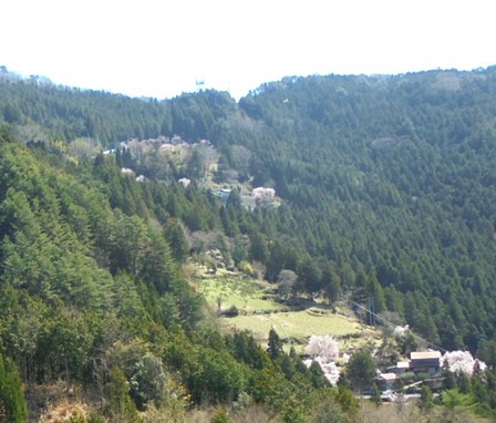 川井峠12.jpg