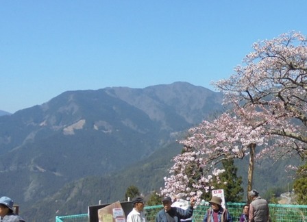 川井峠13.jpg