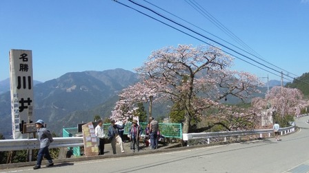 川井峠4.jpg