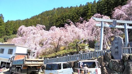 川井峠7.jpg