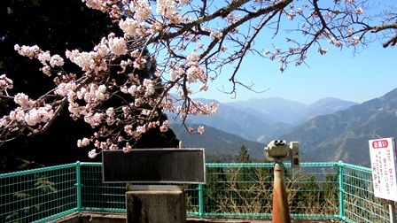 川井峠8.jpg