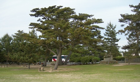 慶野松原海水浴場05.JPG