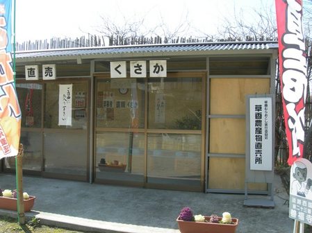 智禅寺24.JPG