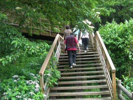 淡路島公園アジサイの谷11.JPG