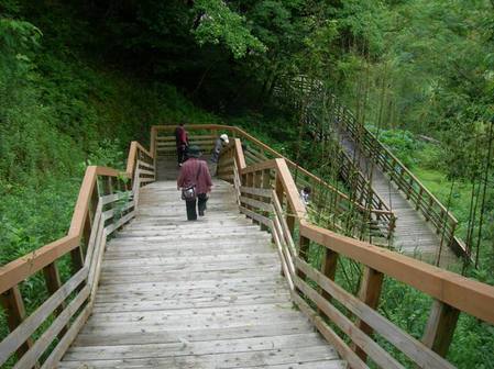 淡路島公園アジサイの谷2.JPG