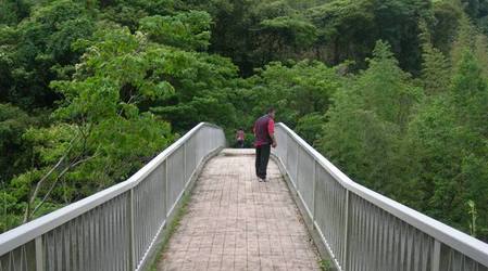 淡路島公園アジサイの谷5.JPG