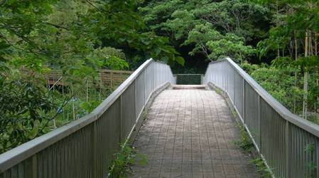 淡路島公園アジサイの谷5.JPG