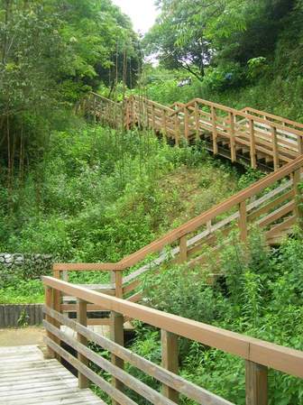 淡路島公園アジサイの谷7.JPG