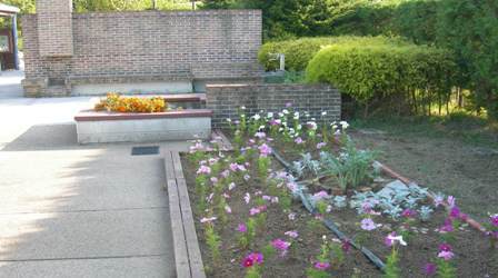 淡路景観園芸学校37.JPG