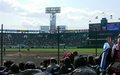 甲子園球場20.jpg