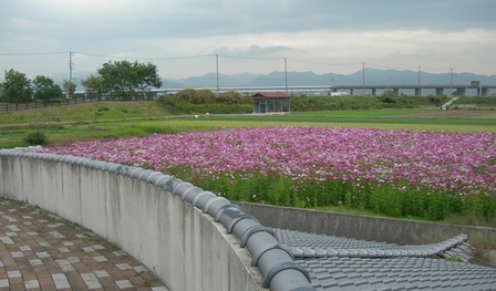 緑の道しるべ西路公園07.JPG