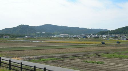 緑の道しるべ西路公園18.JPG