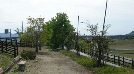 緑の道しるべ西路公園19.JPG