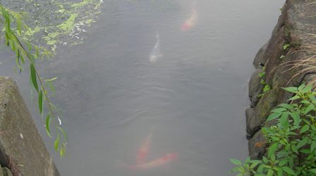 親水公園6.JPG