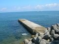 野島漁港13.jpg