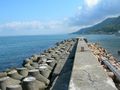 野島漁港9.jpg