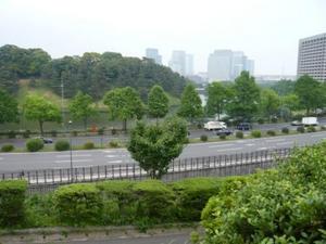 国会前庭より