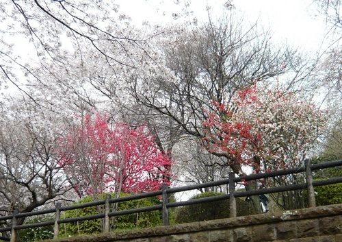 宏善寺