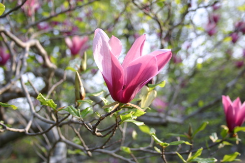 090411-B.jpg