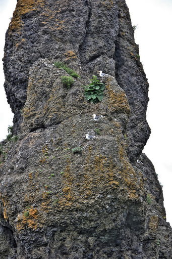 ゴジラ岩(その2)