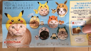 ガチャ「ねこのかぶりものシリーズ」の新商品ポケットモンスター