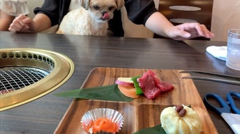 なぜか自分の食べ物だと気づいているむぎ