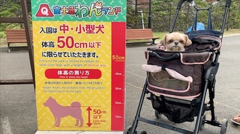 体高50センチ以下の中小型犬は入園可能