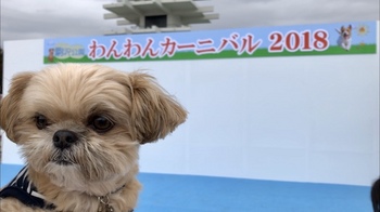 駒沢公園の中央広場で開催された「わんわんカーニバル2018」