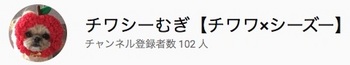 「チワシーむぎ」のチャンネル登録者数が100人を突破しました