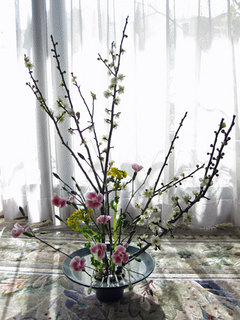 moribana_201202_ume.jpg