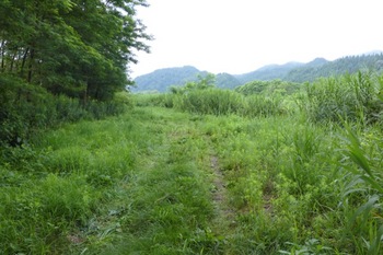 P1030716_800.JPG
