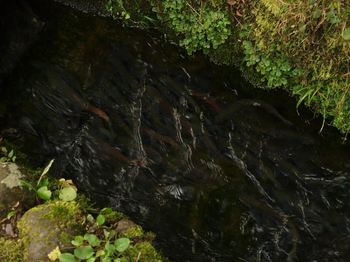S_P9170718.JPG