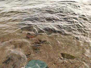 S_P9170725.JPG
