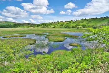 14_16_Color+1,1.jpg